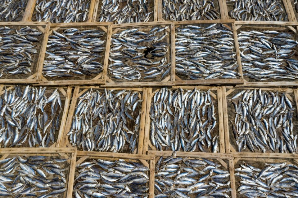 RFoods muutis Saare Kala Tootmine müügilepingu tingimusi, kuna Läti ostja Brīvais Vilnis ei saanud rahastust kokku.